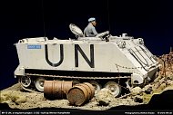 M113 UN