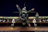 Skyraider A-1H