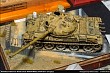 Moson Model Show 2017